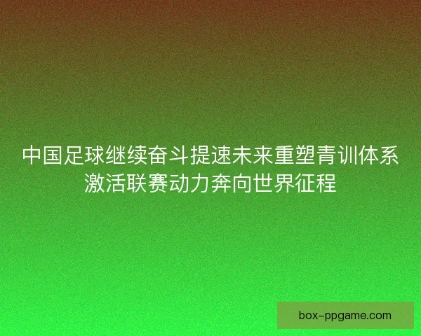 中国足球继续奋斗提速未来重塑青训体系激活联赛动力奔向世界征程 中国足球继续奋斗提速未来重塑青训体系激活联赛动力奔向世界征程